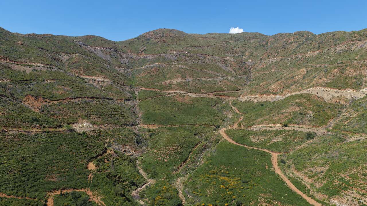 Muğla’daki Büyük Yangınların Üzerinden 5 Yıl Geçti: Yanan Ormanlar Yeniden Yeşerdi 1